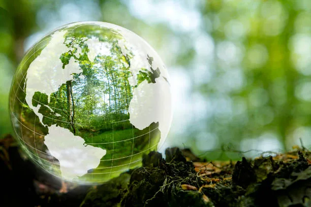 empresa licenciamento ambiental São Paulo